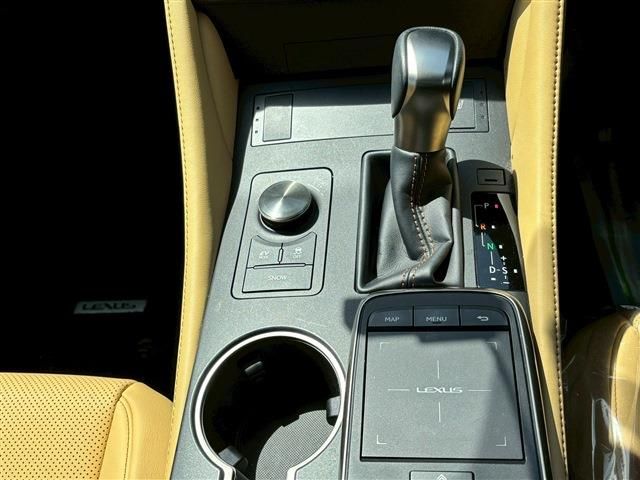 TOYOTA LEXUS RC300H 2020 Image 31