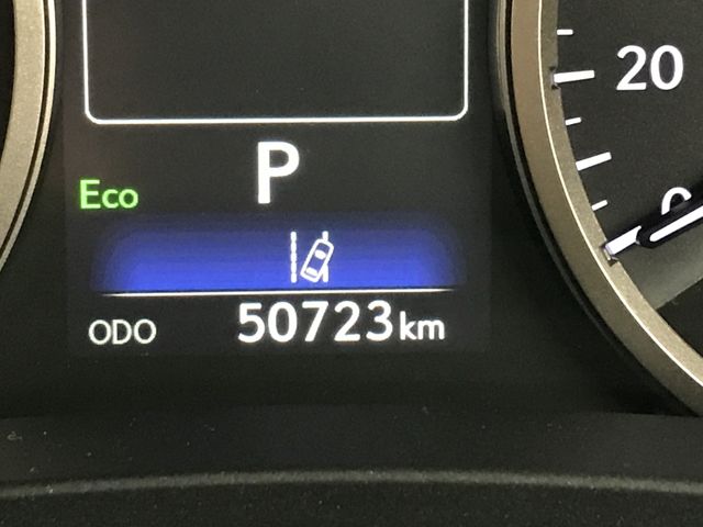 TOYOTA LEXUS NX300 2020 Image 31