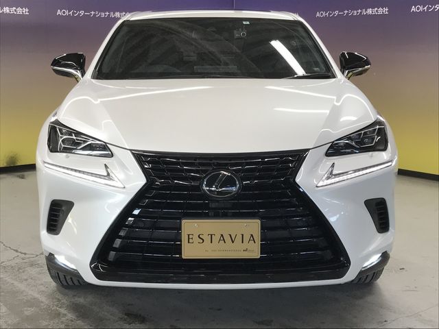 TOYOTA LEXUS NX300 2020 Image 31