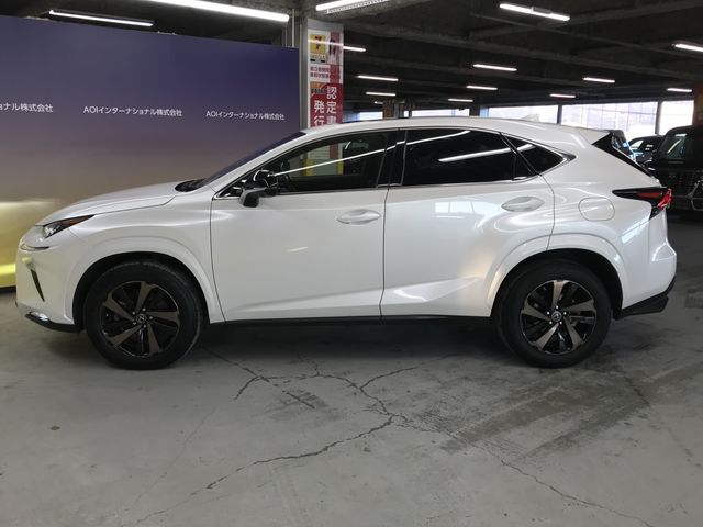 TOYOTA LEXUS NX300 2020 Image 31