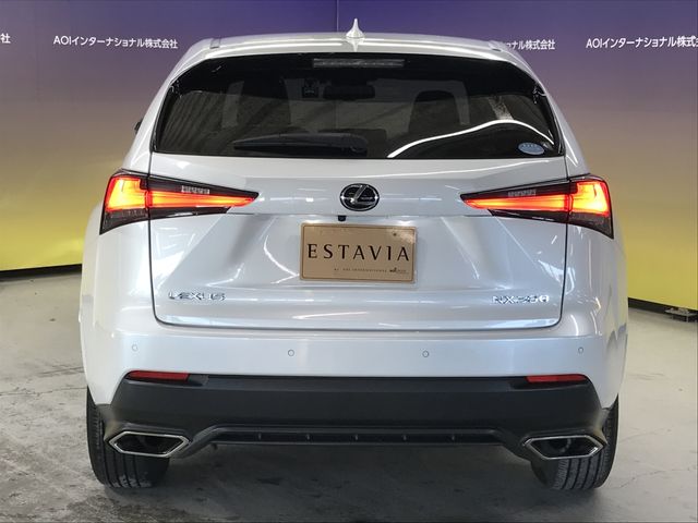 TOYOTA LEXUS NX300 2020 Image 31