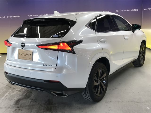 TOYOTA LEXUS NX300 2020 Image 31