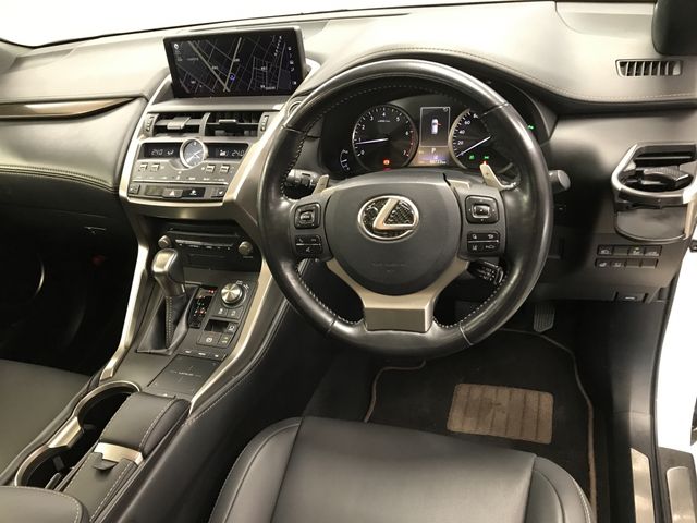 TOYOTA LEXUS NX300 2020 Image 31