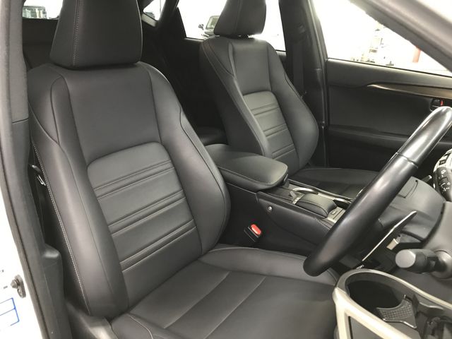 TOYOTA LEXUS NX300 2020 Image 31