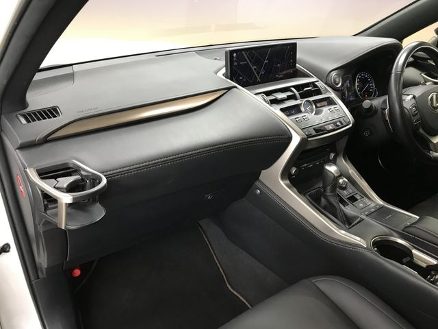 TOYOTA LEXUS NX300 2020 Image 31