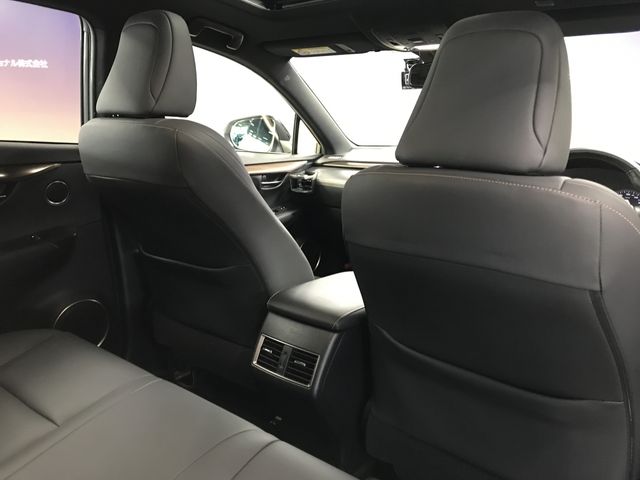 TOYOTA LEXUS NX300 2020 Image 31