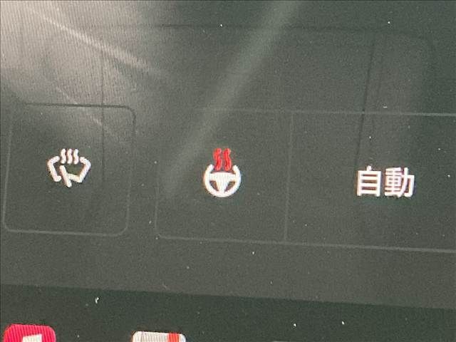 TESLA MODEL Y 2022 Image 31