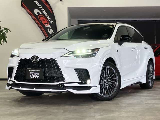 TOYOTA LEXUS RX500H 2023 Image 31