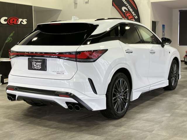 TOYOTA LEXUS RX500H 2023 Image 31