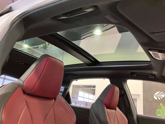 TOYOTA LEXUS RX500H 2023 Image 31