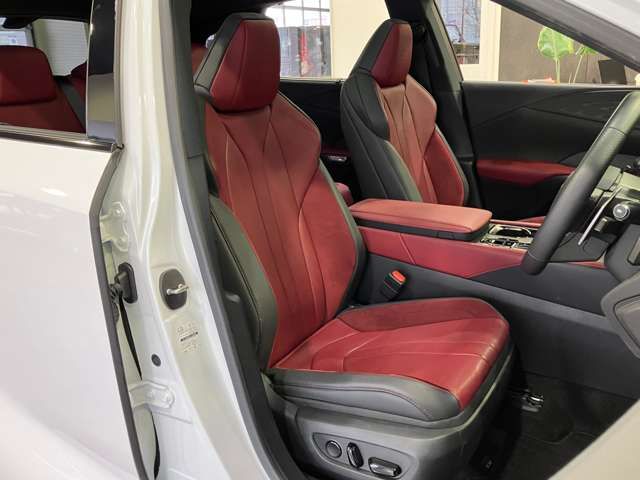 TOYOTA LEXUS RX500H 2023 Image 31