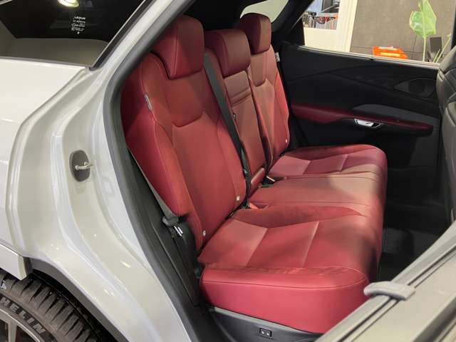 TOYOTA LEXUS RX500H 2023 Image 31