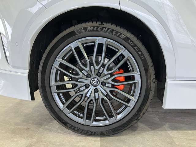 TOYOTA LEXUS RX500H 2023 Image 31