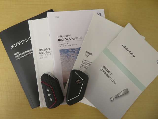 VOLKSWAGEN GOLF 2021 Image 31