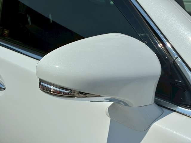 TOYOTA LEXUS LS460 2013 Image 31