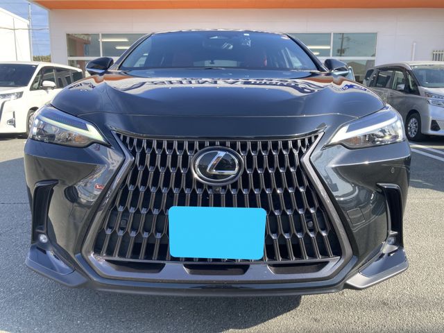 TOYOTA LEXUS NX350H 2023 Image 31