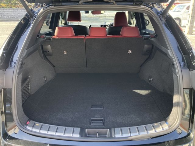 TOYOTA LEXUS NX350H 2023 Image 31