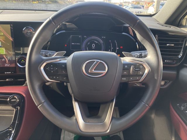 TOYOTA LEXUS NX350H 2023 Image 31