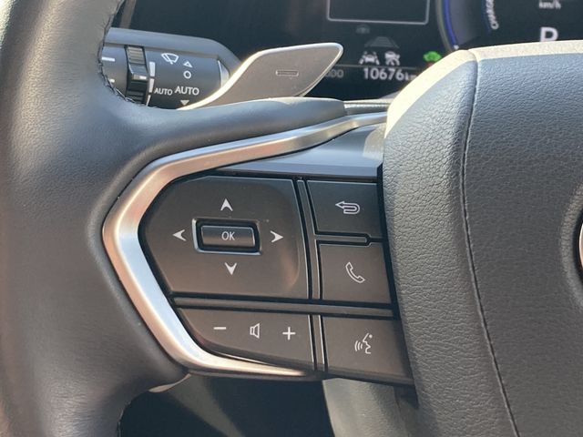 TOYOTA LEXUS NX350H 2023 Image 31