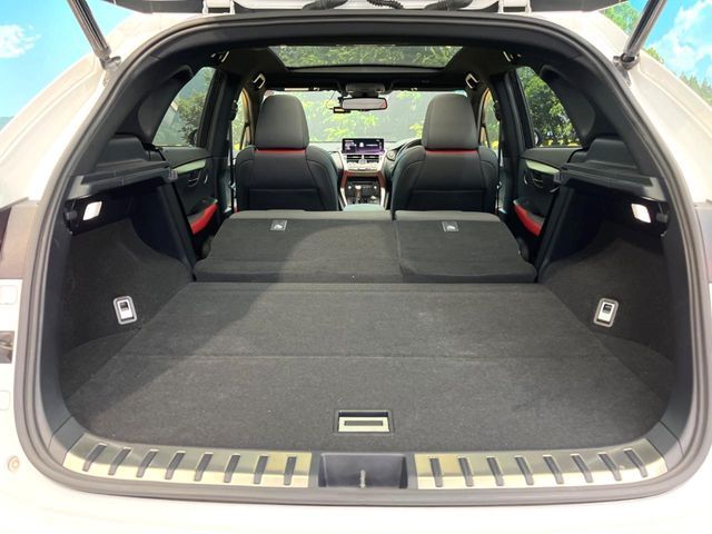 TOYOTA LEXUS NX300 2018 Image 31