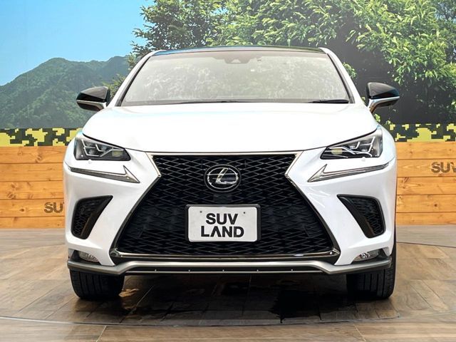 TOYOTA LEXUS NX300 2018 Image 31