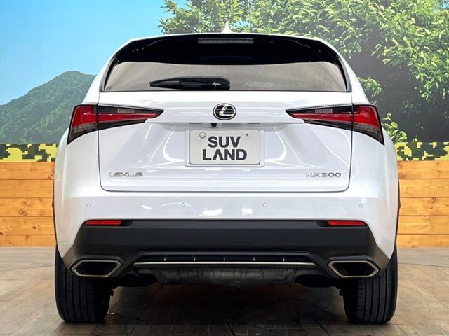 TOYOTA LEXUS NX300 2018 Image 31