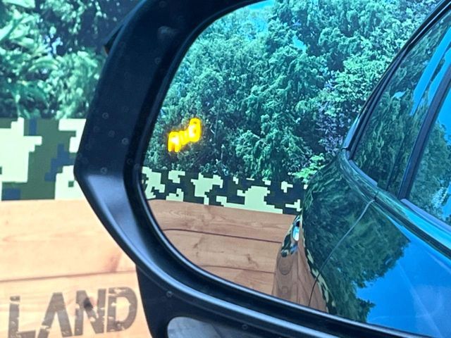 TOYOTA HARRIER 2WD 2024 Image 31