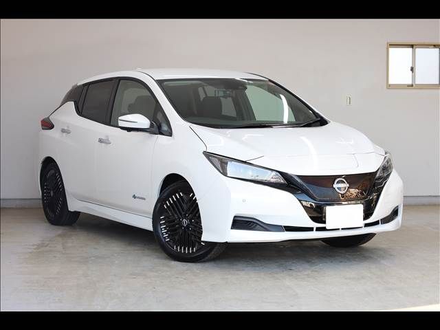 NISSAN LEAF 2023 Image 31