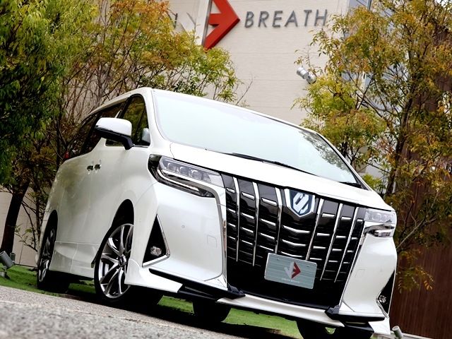 TOYOTA ALPHARD HYBRID 4WD 2023 Image 31