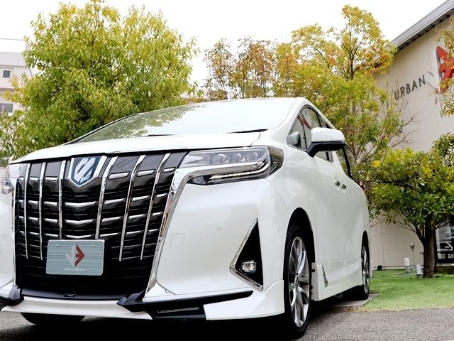 TOYOTA ALPHARD HYBRID 4WD 2023 Image 31