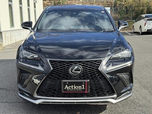 TOYOTA LEXUS NX300 2017 Image 31