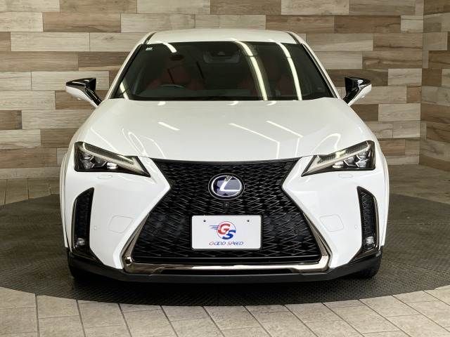 TOYOTA LEXUS UX250H 2019 Image 31