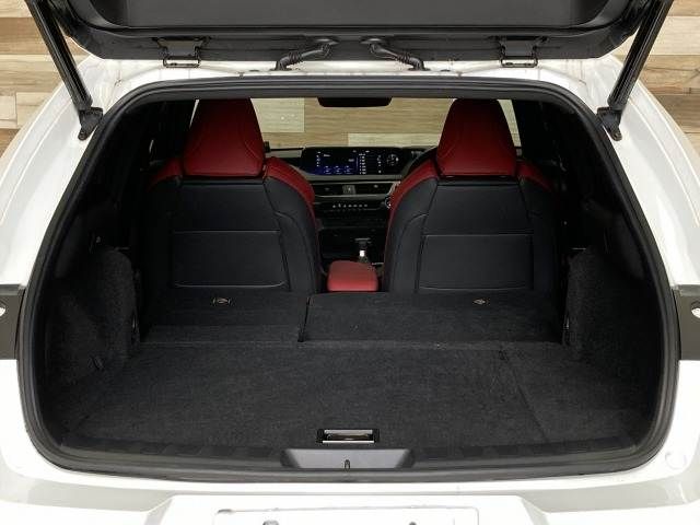 TOYOTA LEXUS UX250H 2019 Image 31