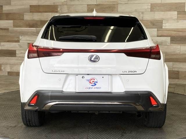 TOYOTA LEXUS UX250H 2019 Image 31