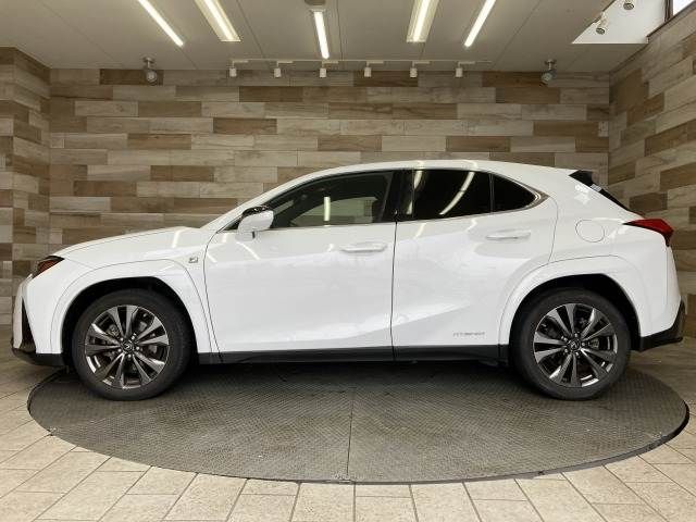 TOYOTA LEXUS UX250H 2019 Image 31