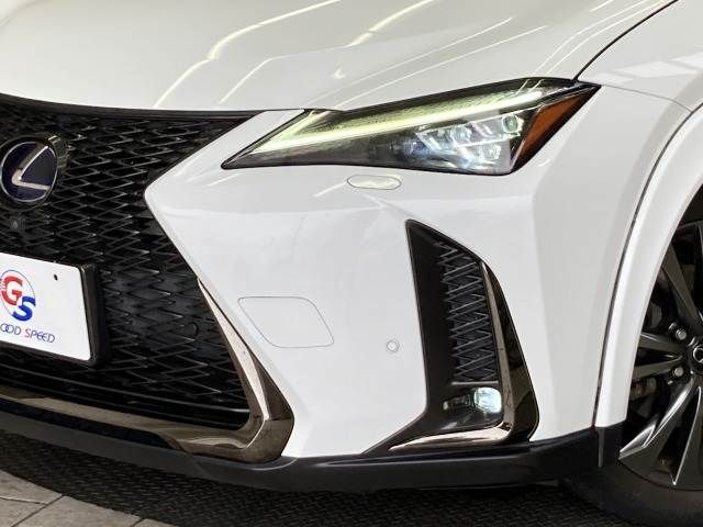 TOYOTA LEXUS UX250H 2019 Image 31