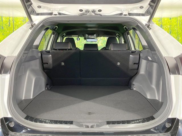 TOYOTA RAV4 PHV 2021 Image 31