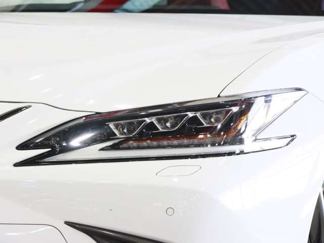 TOYOTA LEXUS ES300H 2019 Image 31