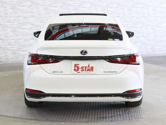 TOYOTA LEXUS ES300H 2019 Image 31