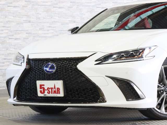 TOYOTA LEXUS ES300H 2019 Image 31