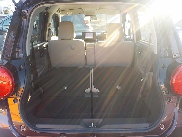 DAIHATSU CAST STYLE 2019 Image 31