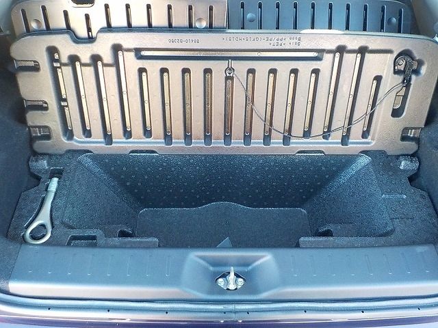 DAIHATSU CAST STYLE 2019 Image 31