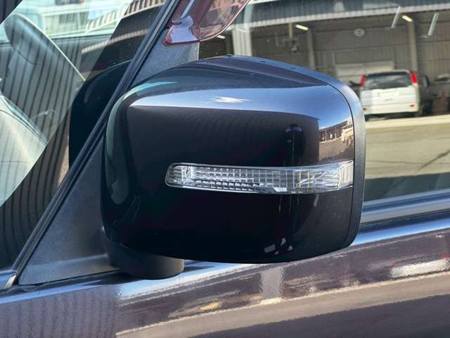 SUZUKI SOLIO 2011 Image 31