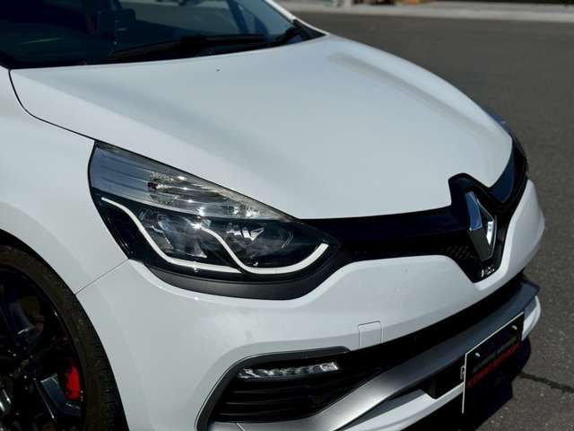 RENAULT LUTECIA 2014 Image 31