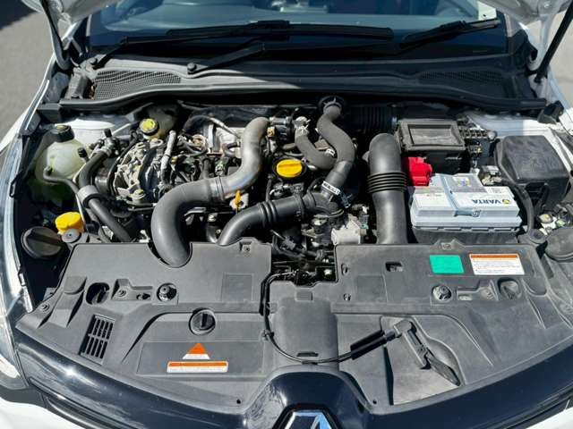 RENAULT LUTECIA 2014 Image 31