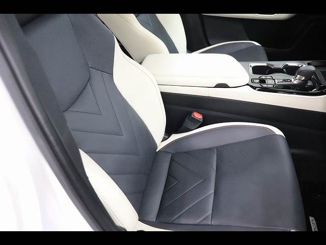 TOYOTA LEXUS NX450H+ AWD 2023 Image 31