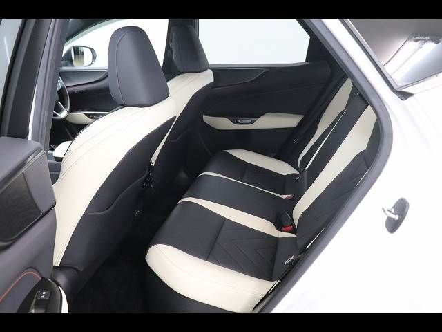 TOYOTA LEXUS NX450H+ AWD 2023 Image 31