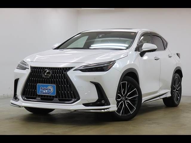 TOYOTA LEXUS NX450H+ AWD 2023 Image 31