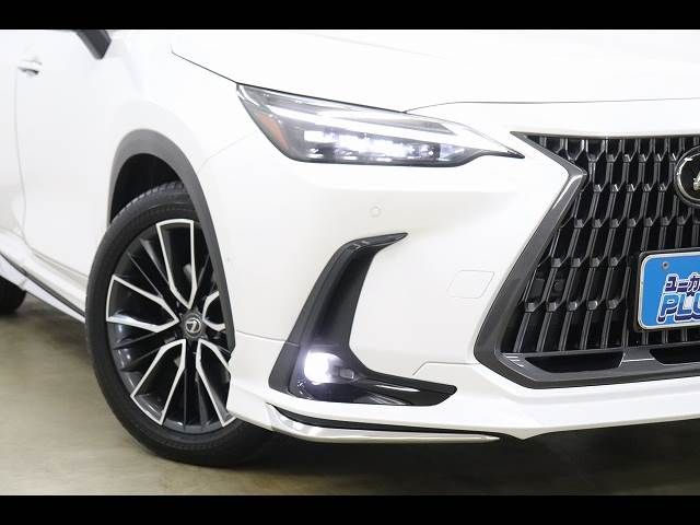TOYOTA LEXUS NX450H+ AWD 2023 Image 31