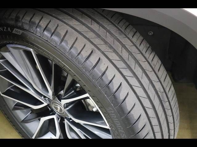 TOYOTA LEXUS NX450H+ AWD 2023 Image 31